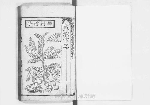 页面提取自－s205元版.子部.经史证类大观本草.31卷.首目1卷.宋.唐慎微撰.曹孝忠校.元大德6年宗文书院刊.明修.带图本.24册-12