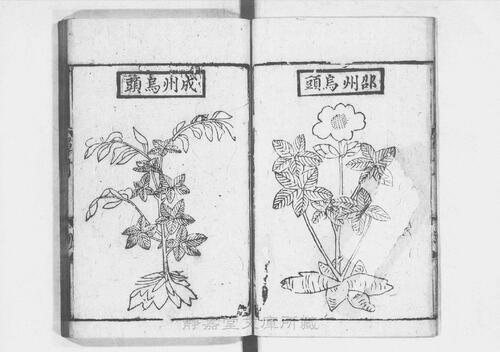 页面提取自－s205元版.子部.经史证类大观本草.31卷.首目1卷.宋.唐慎微撰.曹孝忠校.元大德6年宗文书院刊.明修.带图本.24册-12