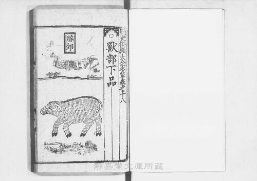 页面提取自－s205元版.子部.经史证类大观本草.31卷.首目1卷.宋.唐慎微撰.曹孝忠校.元大德6年宗文书院刊.明修.带图本.24册-18
