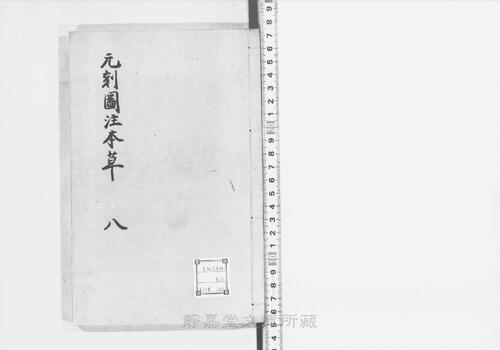 页面提取自-s206元版.子部.新编证类图注本草.42卷.首目1卷.序例5卷.宋.寇宗奭撰.许洪等校.元刊.带图本.15册-8 页面提取自-s206元版.子部.新编证类图注本草.42卷.首目1卷.序例5卷.宋.寇宗奭撰.许洪等校.元刊.带图本.15册-8