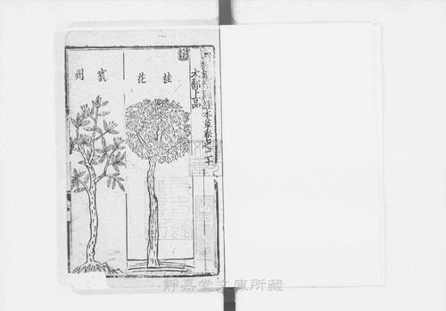 页面提取自－s206元版.子部.新编证类图注本草.42卷.首目1卷.序例5卷.宋.寇宗奭撰.许洪等校.元刊.带图本.15册-10