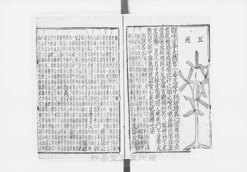 页面提取自－s206元版.子部.新编证类图注本草.42卷.首目1卷.序例5卷.宋.寇宗奭撰.许洪等校.元刊.带图本.15册-10