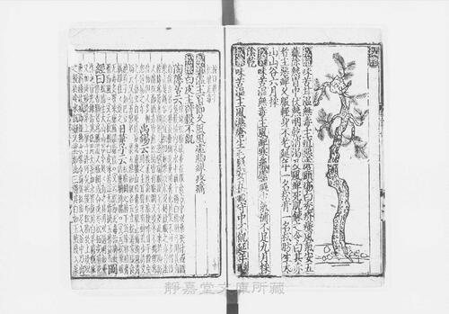 页面提取自－s206元版.子部.新编证类图注本草.42卷.首目1卷.序例5卷.宋.寇宗奭撰.许洪等校.元刊.带图本.15册-10