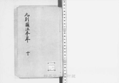 页面提取自-s206元版.子部.新编证类图注本草.42卷.首目1卷.序例5卷.宋.寇宗奭撰.许洪等校.元刊.带图本.15册-10 页面提取自-s206元版.子部.新编证类图注本草.42卷.首目1卷.序例5卷.宋.寇宗奭撰.许洪等校.元刊.带图本.15册-10