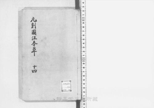 页面提取自-s206元版.子部.新编证类图注本草.42卷.首目1卷.序例5卷.宋.寇宗奭撰.许洪等校.元刊.带图本.15册-14 页面提取自-s206元版.子部.新编证类图注本草.42卷.首目1卷.序例5卷.宋.寇宗奭撰.许洪等校.元刊.带图本.15册-14