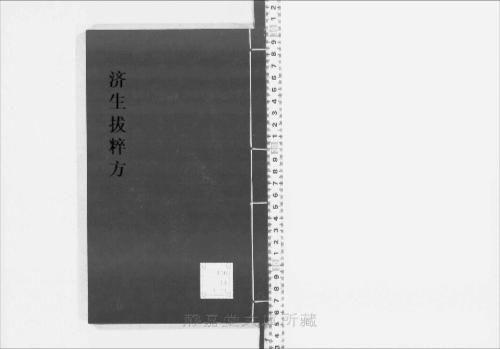 页面提取自-s208元版.子部.济生拔粹方.19卷.元.杜思敬辑.元刊.14册-6 页面提取自-s208元版.子部.济生拔粹方.19卷.元.杜思敬辑.元刊.14册-6