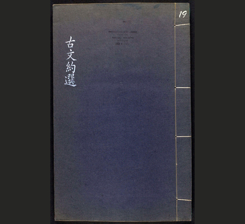 19 19
