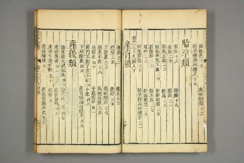 景岳全书19