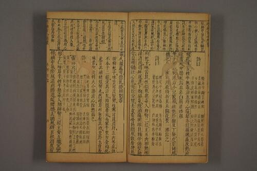 雷公炮制2