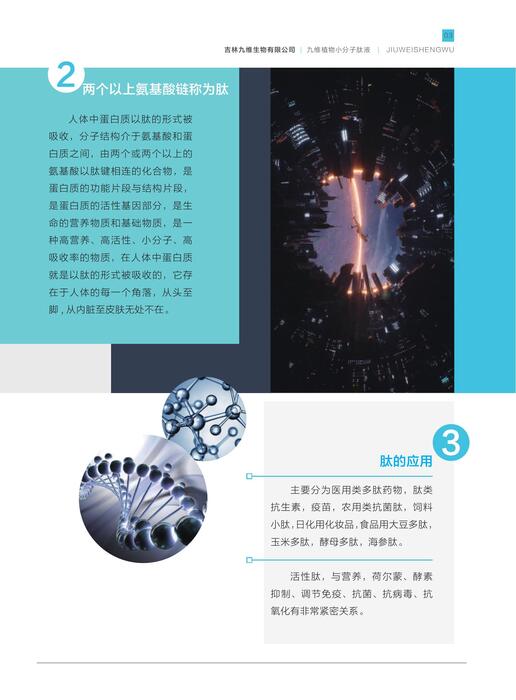 吉林九维-正文-2023-1207(1)