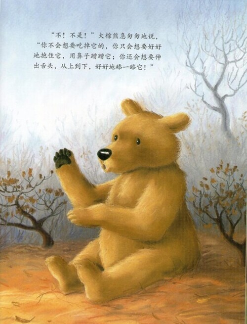 大棕熊的秘密_03-2