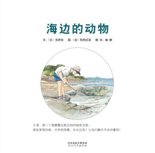 海边的动物_03-2