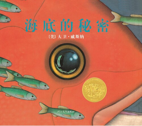海底的秘密_01 海底的秘密_01