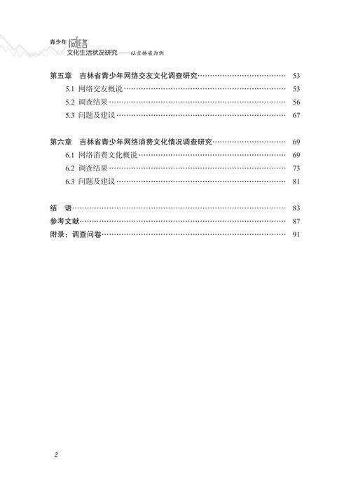 青少年网络文化生活状况研究