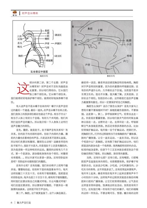第三部分——魅力声音打造