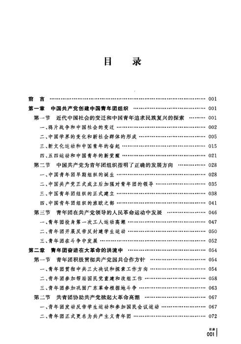 中国共青团史稿  1922-2008_12612881