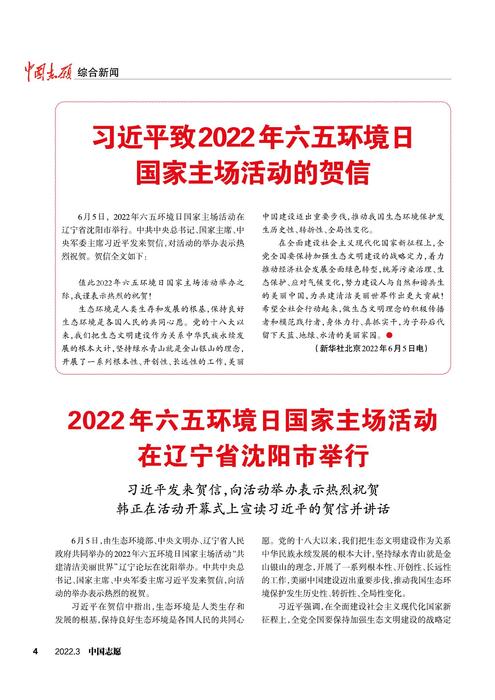 中国志愿