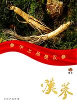 汉参文化产品宣传手册