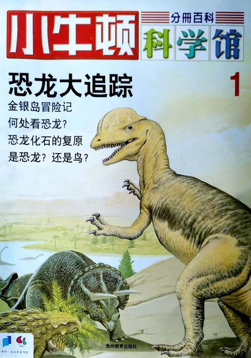 组合 1