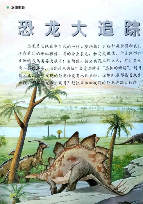 组合 1