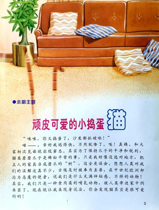 组合 1