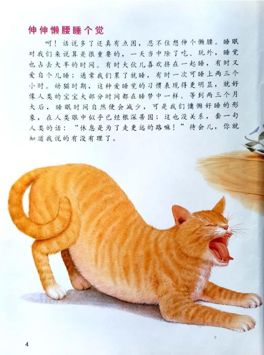 组合 1