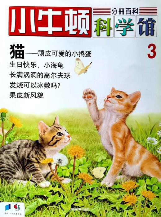 组合 1