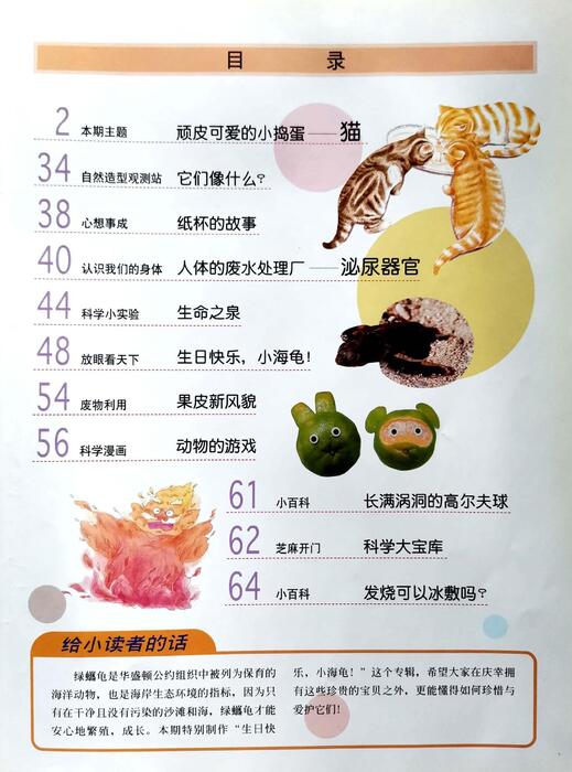 组合 1
