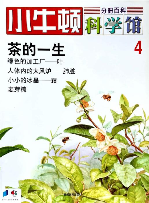 组合 1