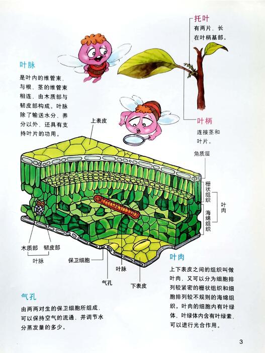 组合 1
