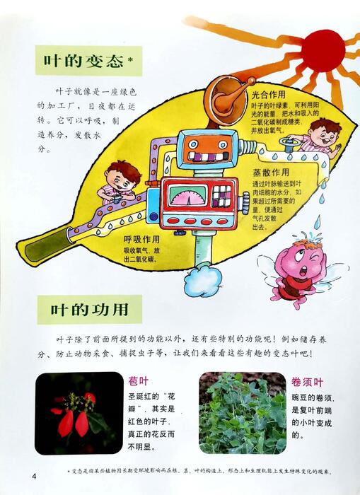 组合 1
