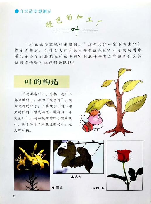 组合 1